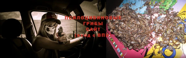 молекула духа Арсеньев