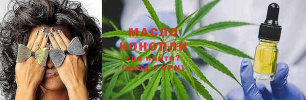 молекула духа Арсеньев