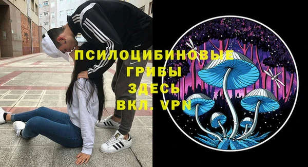 мет Армянск
