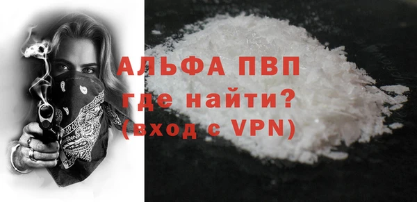 молекула духа Арсеньев