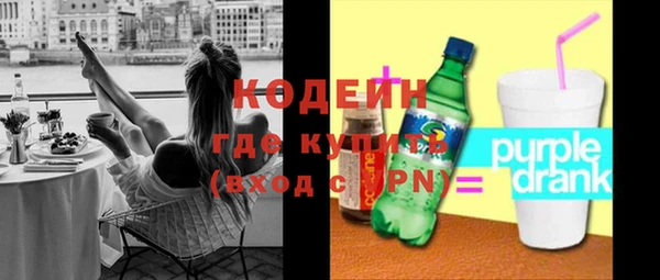 молекула духа Арсеньев