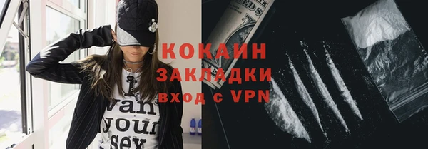 молекула духа Арсеньев