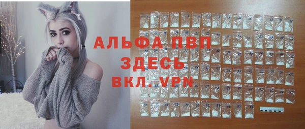 молекула духа Арсеньев