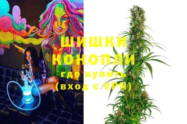 молекула духа Арсеньев